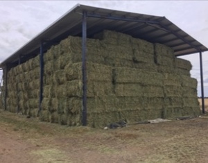 Vetch & Oaten Hay  60/40 mix   100 mt