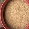 Under Auction (A129) - 6 x Full Drums of Seed Oats