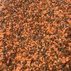 Feed Lentils - Colour Sortex Rejects and Screenings