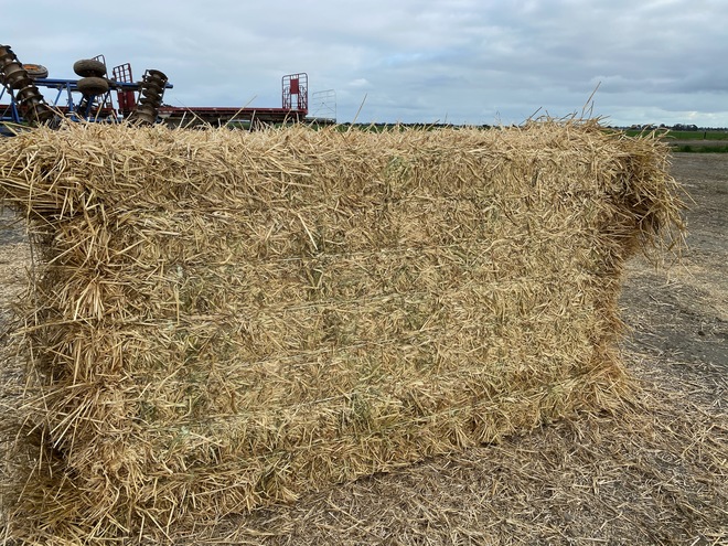 1 x B-Double Load of Barley Hay