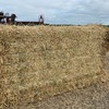 1 x B-Double Load of Barley Hay