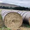 Rye Grass Round Bales