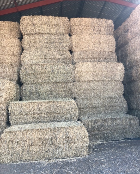 180 Wheaten Hay 550-600kg 8x4x3 Bales