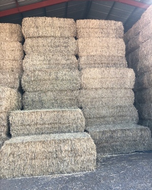 180 Wheaten Hay 550-600kg 8x4x3 Bales