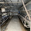 Share Farmer for Cow Milking Station