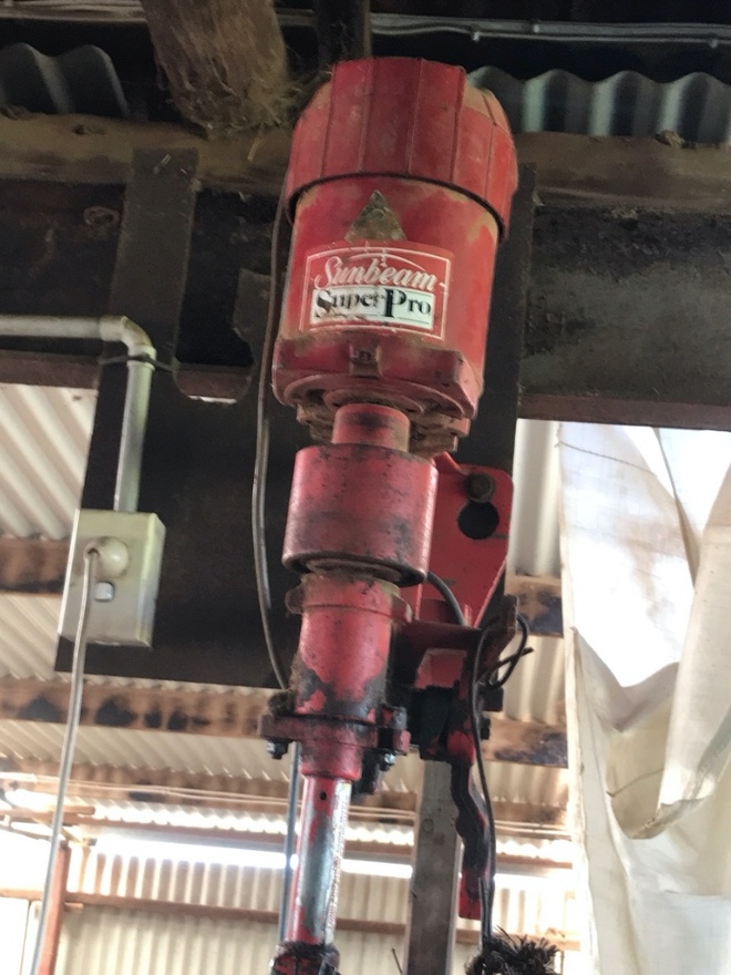 Sunbeam Super Pro Shearing Plants x 3