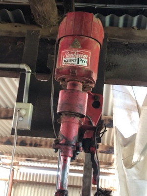 Sunbeam Super Pro Shearing Plants x 3