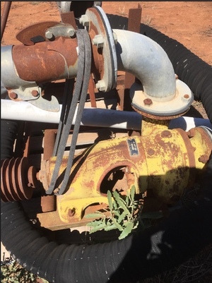 Kelly and Lewis Water Pump