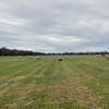 Clover & Rye Grass 350kg 4x4 Round Rolls