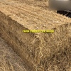 Old Season Rice Tailings 8x4x3 Bales