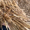 Straw 8 string 8x4x3 bales price is per bale