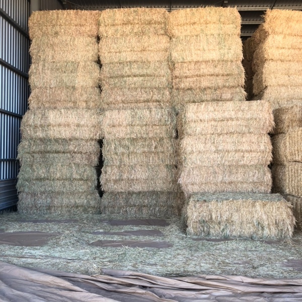 Oaten Hay
