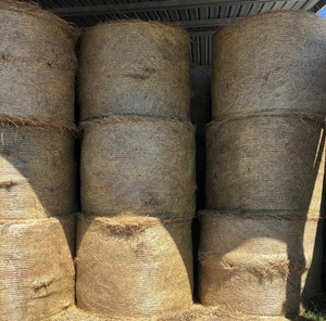 Lucerne Hay Round Bales