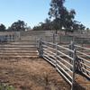 1450 head sheep yards. Brand New.