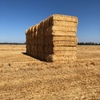 Oaten Straw