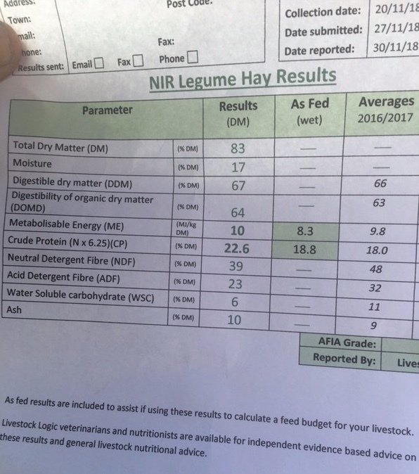 41 x Lucerne Hay 600-650kg 8x4x3 Bales