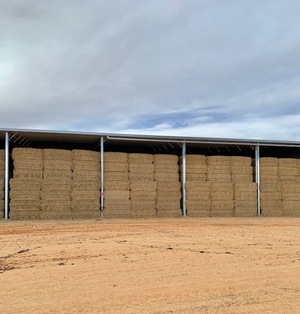 Barley & Wheat Straw