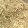 Canola Hay