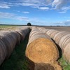 Lucerne Round bales 