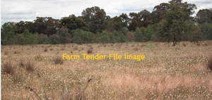 Share Farmer for Property at Nagambie
