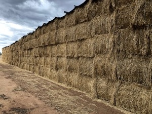 Wheat Straw 8 x 4 x 3 Large Squares