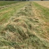 Pasture hay 500 5 x 4 Rounds