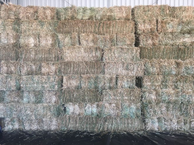 Small Squares of Ryegrass Hay