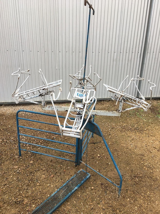 Lyco 4 unit Lamb Marking Cradle