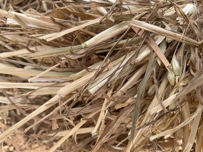 140mt Wheaten Hay 480kg 8x4x3 Bales 
