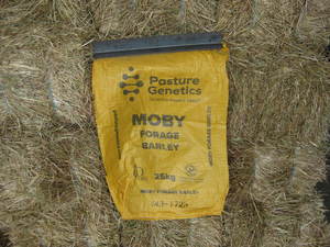 Moby Barley / Rye Grass Hay
