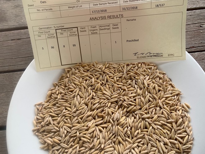 PRICE REDUCED! Yallara seed oats for sale