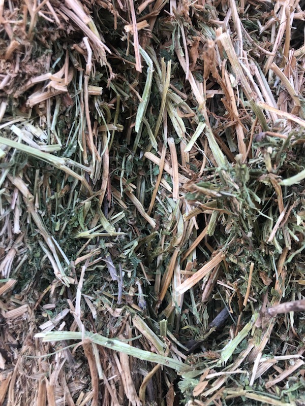 Vetch Hay Delivered only 190 bales