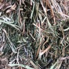 Vetch Hay Delivered only 190 bales