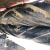 New Holland 7450 Mower Conditioner