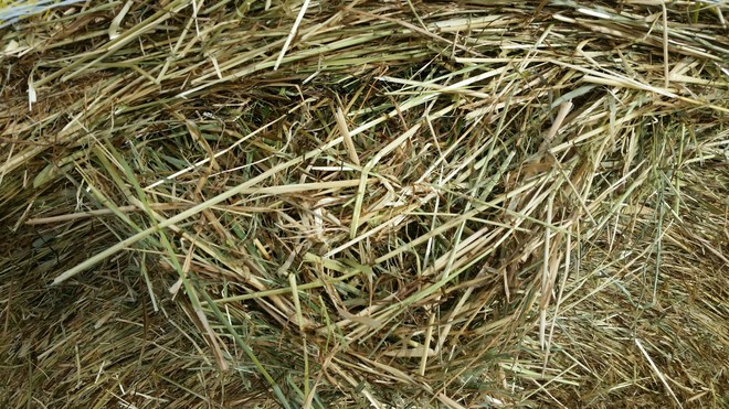 Rye/Clover round bales