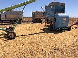Geralton Plumbing Seed cleaner