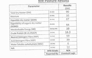 200 m/t Balansa & Rye Hay 8x4x3 Bales 