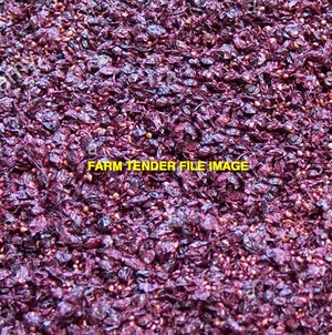 Grape Marc