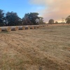 Pasture Hay For Sale