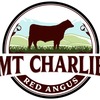 Red Angus Registered Stud Bull