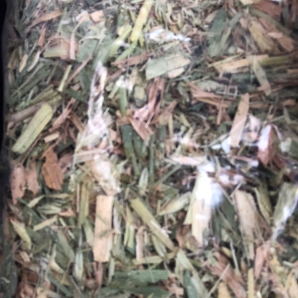 Barley-Vetch Hay for sale