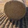 200 Barley straw 350kgs 5x4 rounds