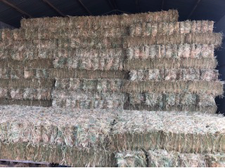 Oaten Hay Small Bales x 2,000 & Shedded