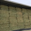 Wheaten Hay   500 Bales