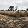 500 Oaten Rye Hay 5x4 Rolls 'New Season'