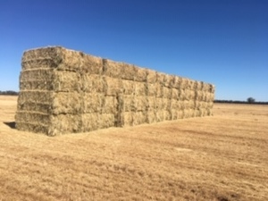75mt Barley & Rye Hay 580kg 8x4x3 Bales