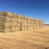 75mt Barley & Rye Hay 580kg 8x4x3 Bales
