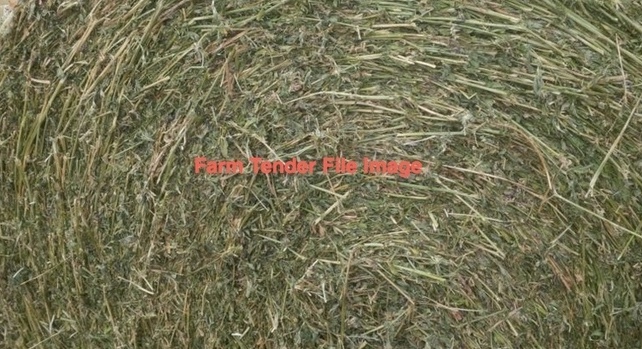 42 x Lucerne/Phalaris Hay 5x4 Rolls