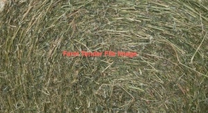 42 x Lucerne/Phalaris Hay 5x4 Rolls