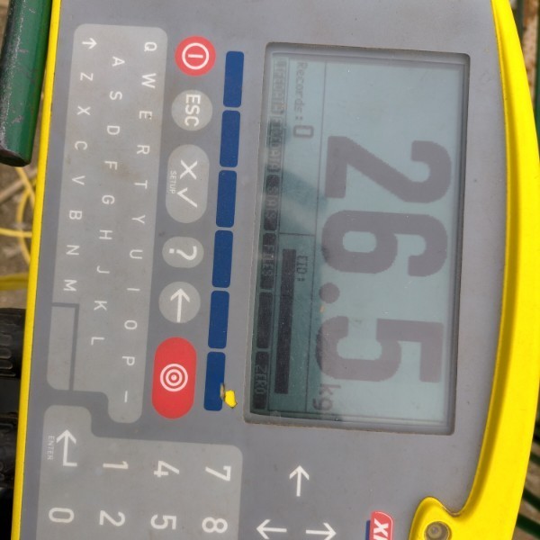 sheep weigh box and scales